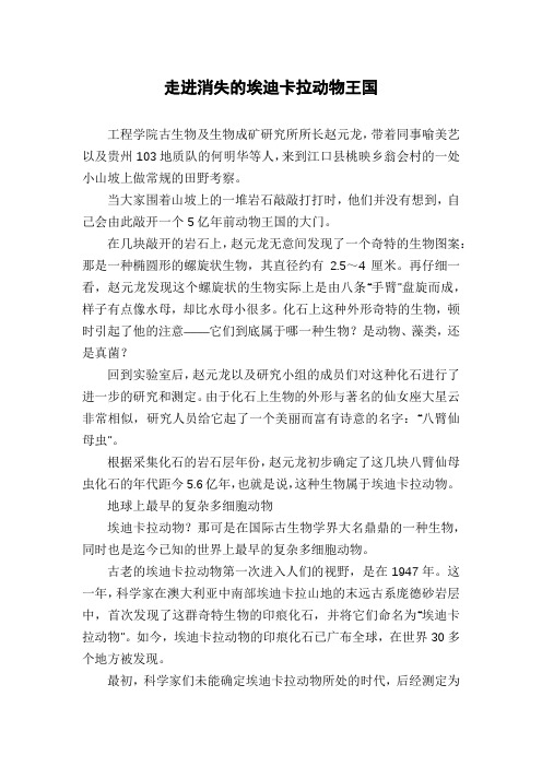走进消失的埃迪卡拉动物王国