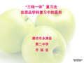 九年级政治三线一体复习课件