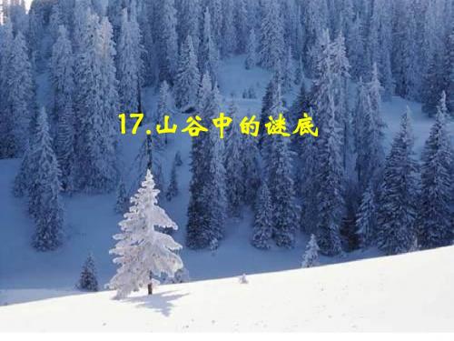 《山谷中的谜底》课件