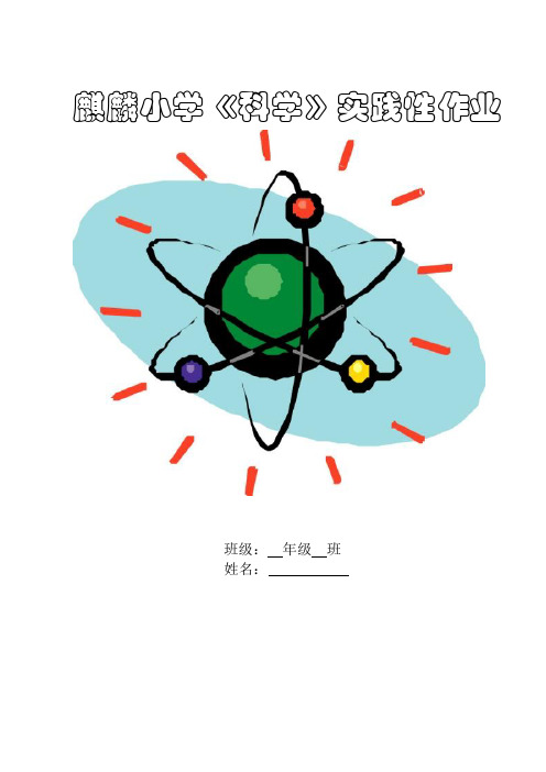 科学实践作业的模板