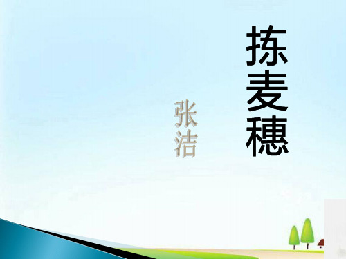 《拣麦穗》PPT课件