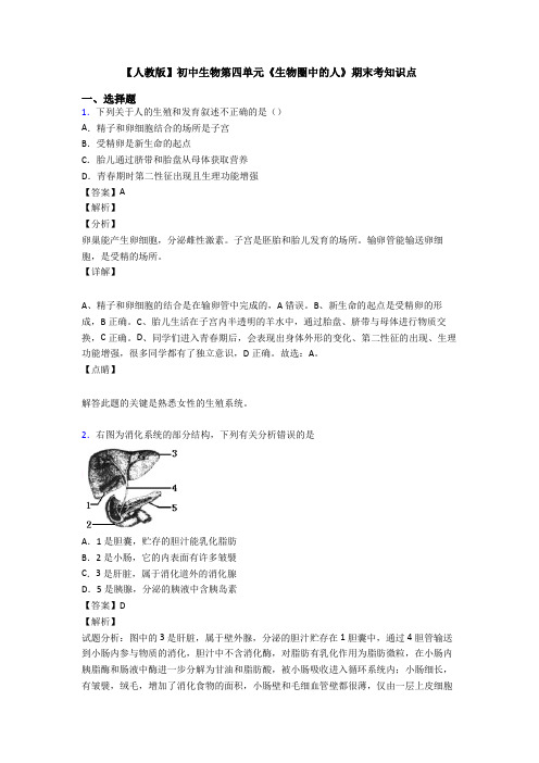 【人教版】初中生物第四单元《生物圈中的人》期末考知识点