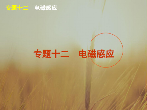 最新-2018届高考物理二轮复习 专题18 电磁感应课件 大纲 精品 
