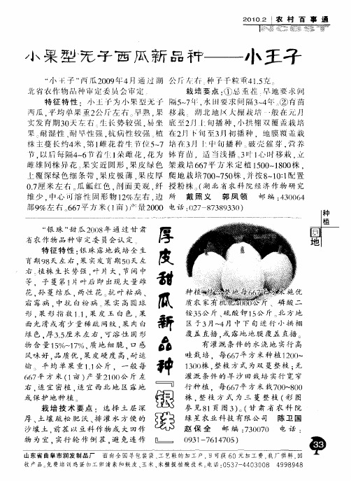 小果型无子西瓜新品种——小王子