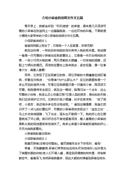 介绍小麻雀的说明文作文五篇