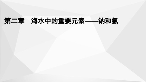 高中化学人教版(2019)必修第一册课件：第二章 海水中的重要元素——钠和氯 第1_1
