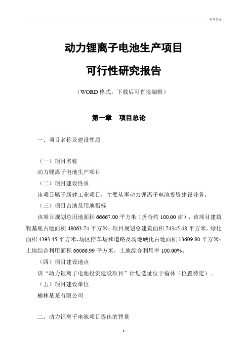 动力锂离子电池生产项目可行性研究报告