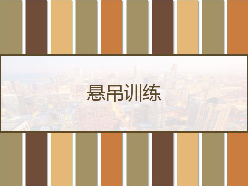 悬吊训练概述 PPT