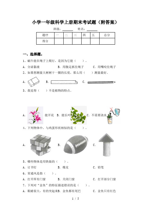 小学一年级科学上册期末考试题(附答案)