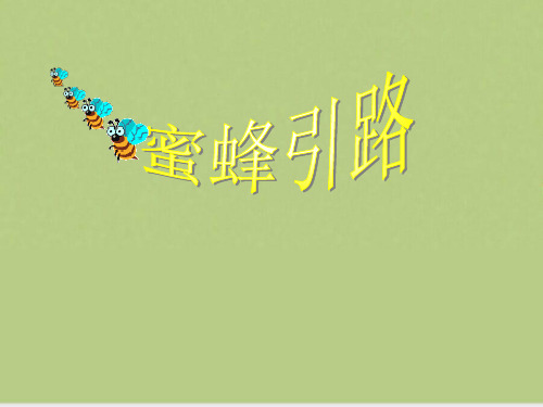 人教版二年级语文下册《蜜蜂引路》课件