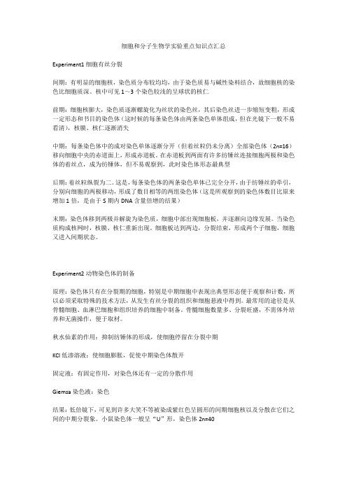 细胞和分子生物学实验重点知识点汇总