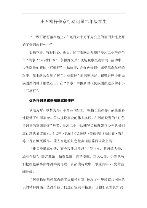 小石榴籽争章行动记录二年级学生