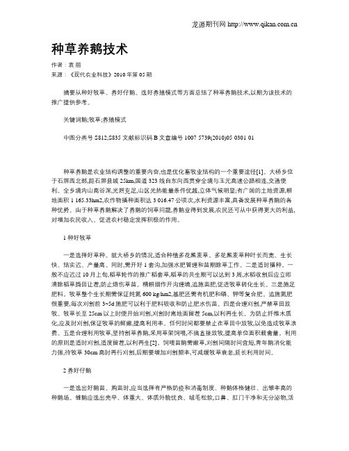 种草养鹅技术