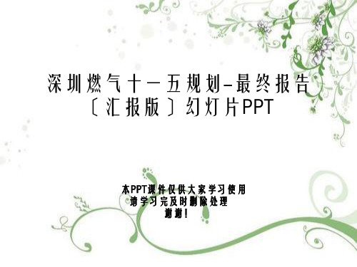 深圳燃气十一五规划-最终报告(汇报版)幻灯片PPT