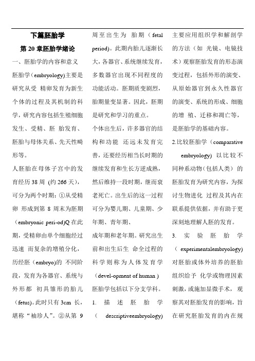 胚胎学(完整版)
