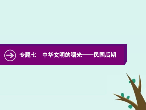 2020版高考历史二轮复习专题七中华文明的曙光——民国后期课件