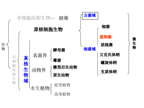 蓝细菌2.2