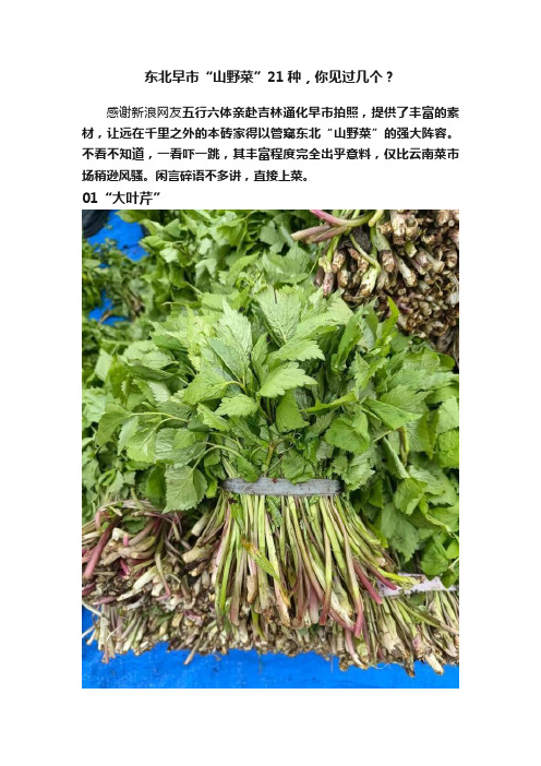 东北早市“山野菜”21种，你见过几个？