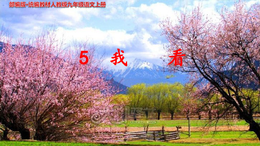 5《我看》(穆旦)PPT课件 (1)