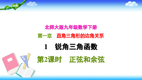 北师大版九年级数学下册 第一章 1.1.2 正弦和余弦 习题课件