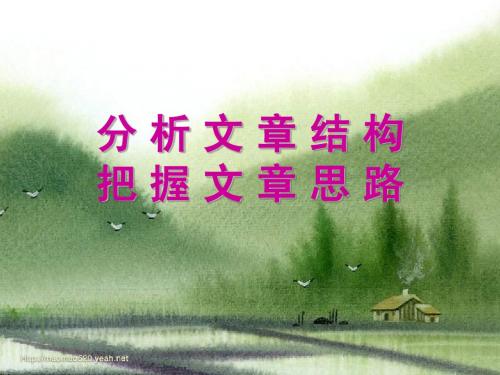 分 析 文 章 结 构,把握文章思路
