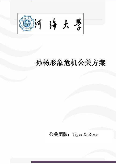 孙杨形象危机公关方案