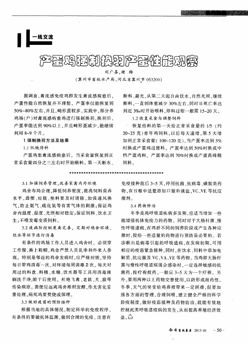 产蛋鸡强制换羽产蛋性能观察