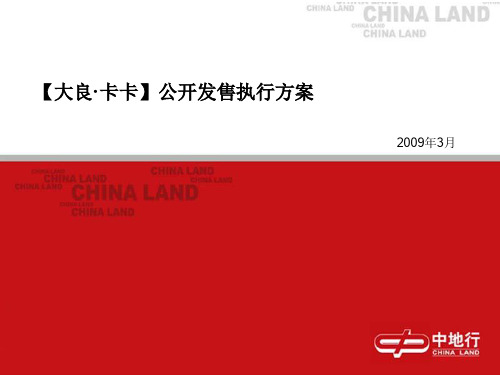 大良卡卡公开发售开盘销售中心执行流程方案(PPT 41页)
