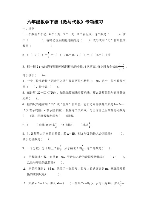 新版六年级数学下册试题数与代数专项练习苏教版
