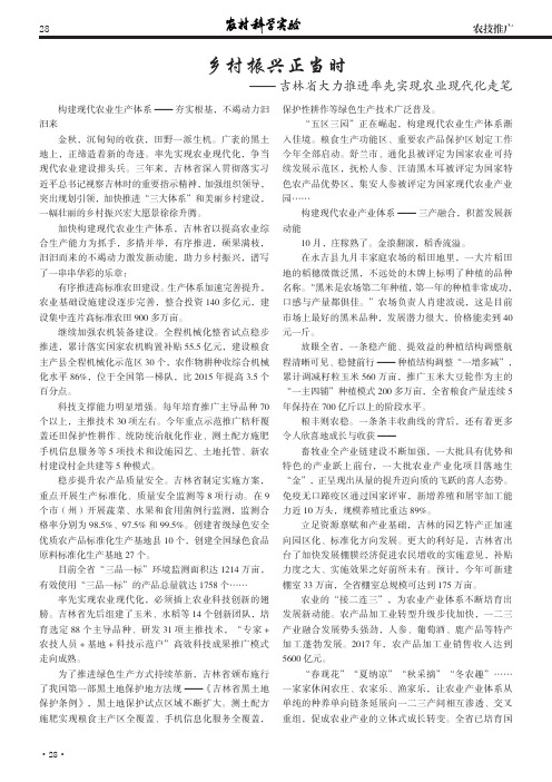 乡村振兴正当时——吉林省大力推进率先实现农业现代化走笔