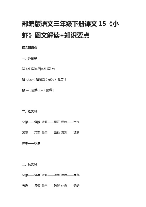 部编版语文三年级下册课文15《小虾》图文解读+知识要点