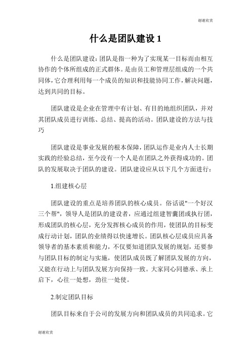 什么是团队建设.doc