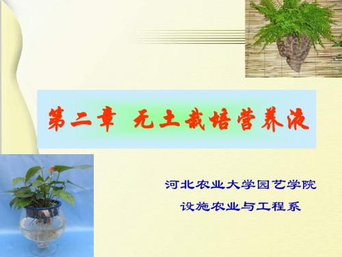 第四章营养液