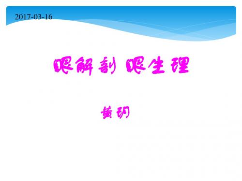 眼科解剖