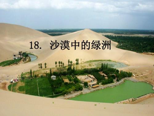 苏教版语文小学四年级下册《沙漠中的绿洲》PPT课件2