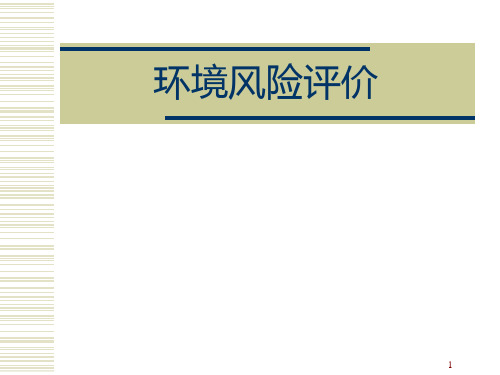 环境风险评价ppt课件