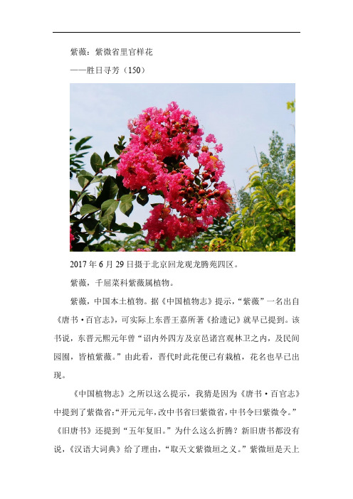 紫薇——胜日寻芳(150)有图