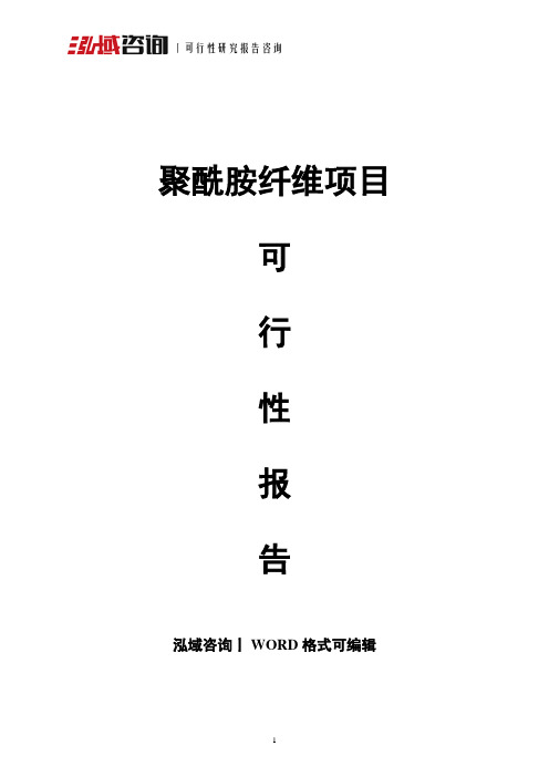 聚酰胺纤维项目可行性报告