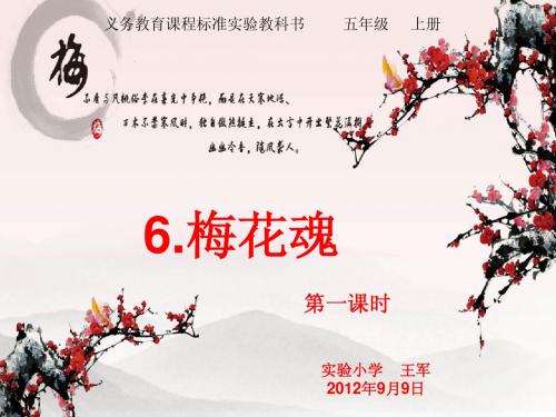 梅花魂第一课时ppt课件