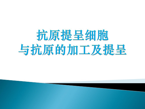 APC与抗原的处理及提呈