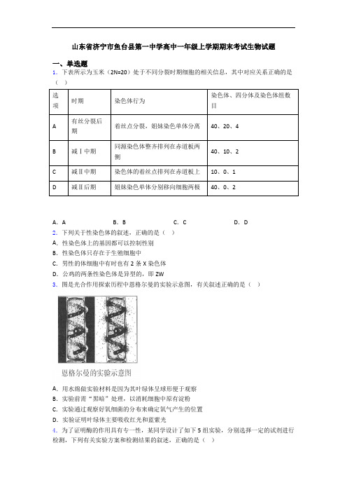 山东省济宁市鱼台县第一中学高中一年级上学期期末考试生物试题