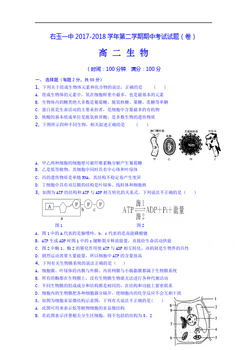 山西省右玉一中2017-2018学年高二下学期期中考试生物试题 Word版含答案