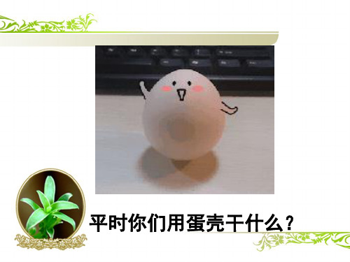 有趣的蛋壳造型__学科信息：美术-人美版-三年级下