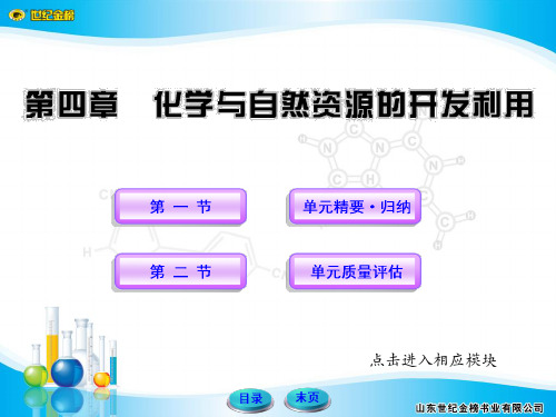 世纪金榜高中化学必修2课件4化学