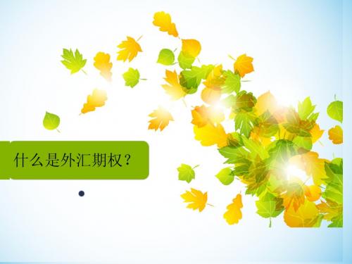 什么是外汇期权