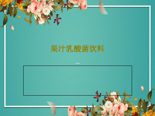果汁乳酸菌饮料PPT共26页