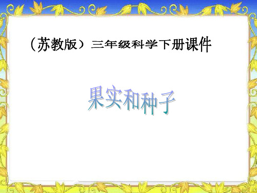 《果实和种子》ppt课件(3篇)