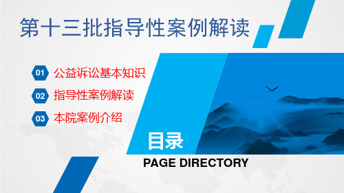 指导性案例