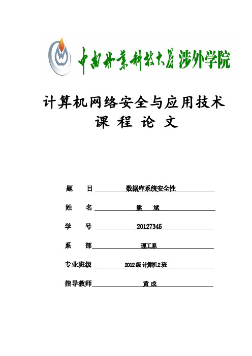 数据库系统安全性