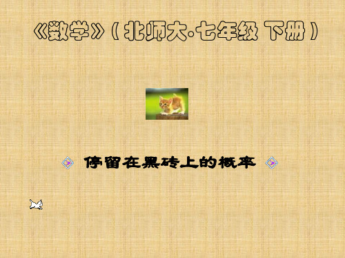 【数学课件】停留在黑砖上的概率(北师大课标)